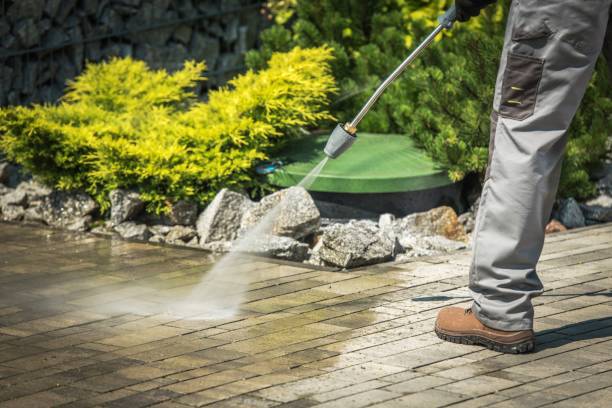 Best Pre-Holiday Cleaning  in Hondo, TX