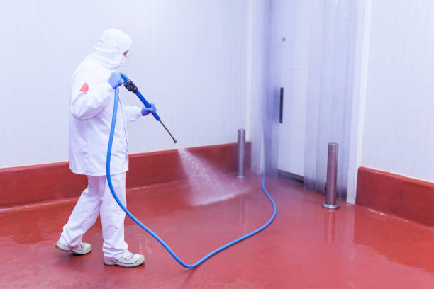 Best Spring Cleaning  in Hondo, TX